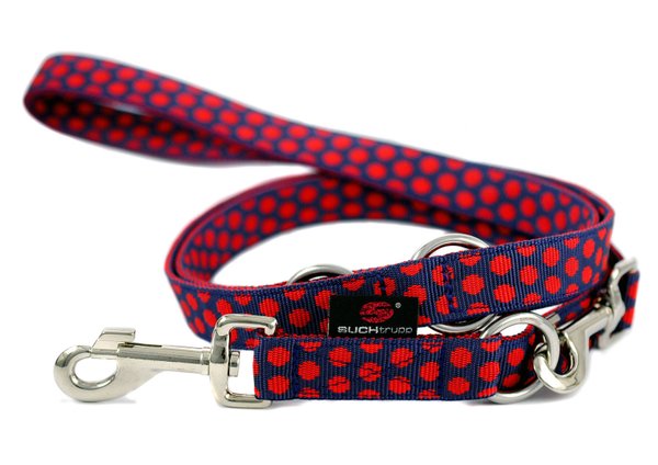 Langleine, verstellbare Führleine DOTS DARKBLUE-RED medium-large, blau-rote Punkte, lange Hundeleine