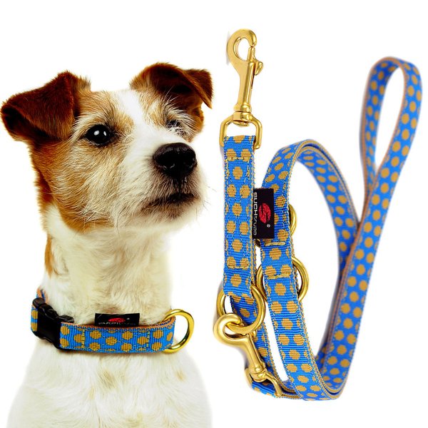Schönste Leine 2m oder 2,5m lang, kleine Hunde, DOTS ROYALBLUE-BEIGE small, blau mit beigen Punkten.