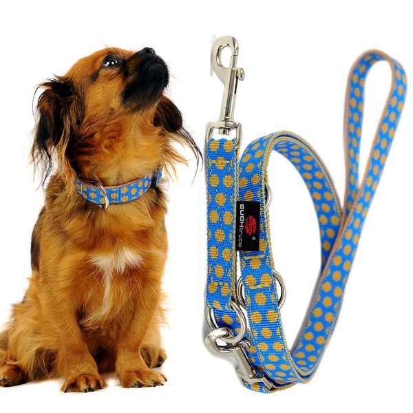 Schönste Leine 2m oder 2,5m lang, kleine Hunde, DOTS ROYALBLUE-BEIGE small, blau mit beigen Punkten.