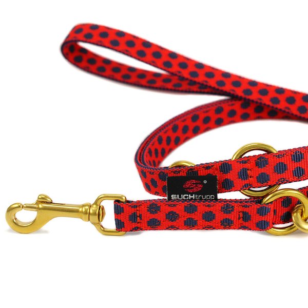 Hochwertige Leine 2m oder 2,5m kleine Hunde, Welpen, DOTS RED-DARKBLUE small, Führleine, rot & blau