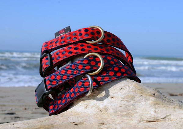 Hundehalsband DOTS DARKBLUE-RED large, Luxus Hundehalsbänder, mit hochwertigem Messing