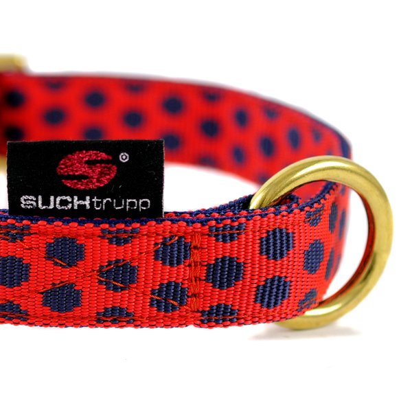 Hundehalsband DOTS RED-DARKBLUE medium, Luxus Hundehalsbänder rot mit blau und Messing