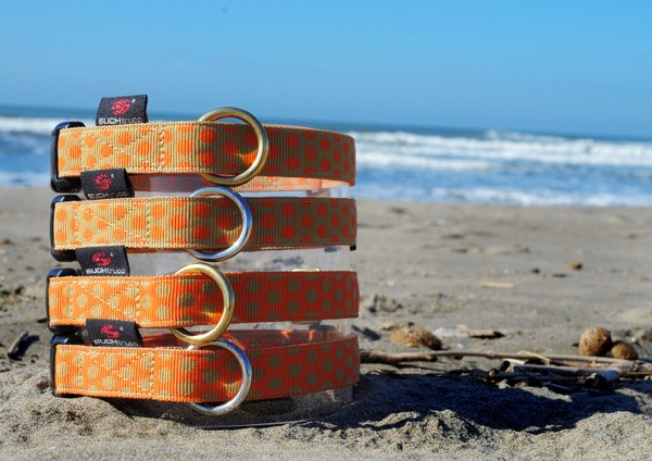 Hundehalsband DOTS ORANGE-BEIGE medium, farbenfrohe Hundehalsbänder orange mit beigen Punkten