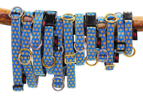 Hundehalsband DOTS ROYALBLUE-BEIGE small, Hundehalsbänder, blau-beige Punkte, gold o. silber Details