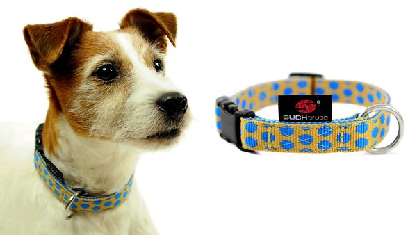 Hundehalsband DOTS BEIGE-ROYALBLUE small, Luxus Design-Hundehalsbänder, beige und blau gepunktet.