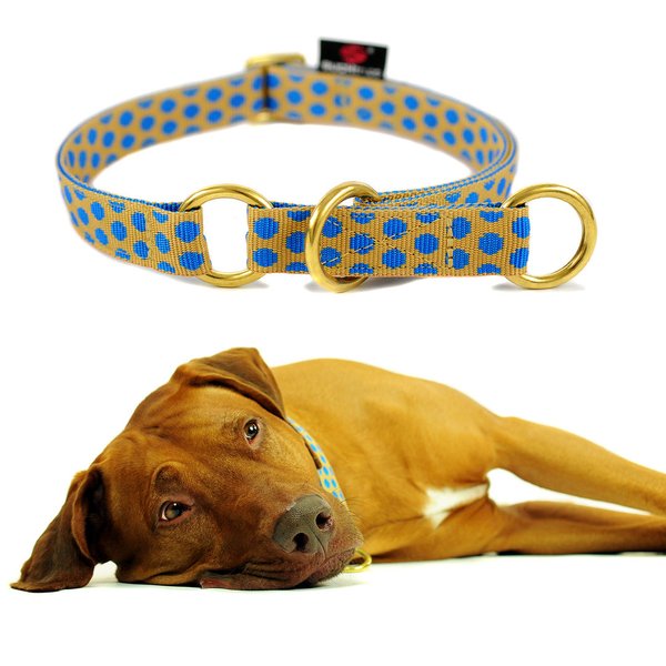 Schlupfhalsband, luxuriöses Hundehalsband mit Stopp, DOTS BEIGE-ROYALBLUE large, Messing