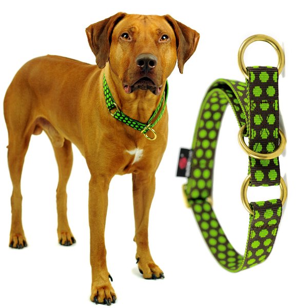 Schlupfhalsband, trendy Hundehalsband mit Zugstopp, DOTS BROWN-LIMEGREEN large, braun-grün gepunktet