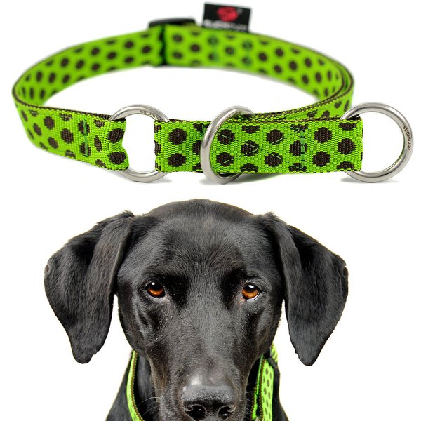 Schlupfhalsband für große Hunde, Zugstopp Hundehalsband, DOTS LIMEGREEN-BROWN large, grün & braune