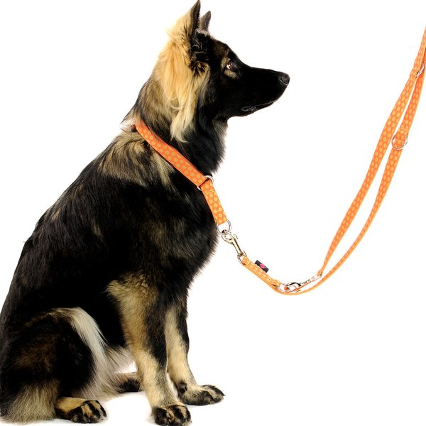 Schönstes Schlupfhalsband, Zugstopp Hundehalsbänder große Hunde, DOTS ORANGE-BEIGE large so stylisch