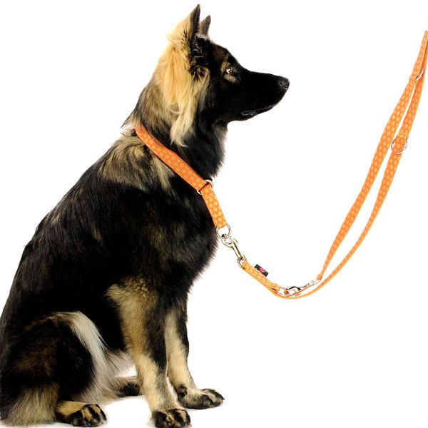 Schlupfhalsband, Luxus Hundehalsband Zugstopp, DOTS ORANGE-BEIGE large, edles Messing, so chic