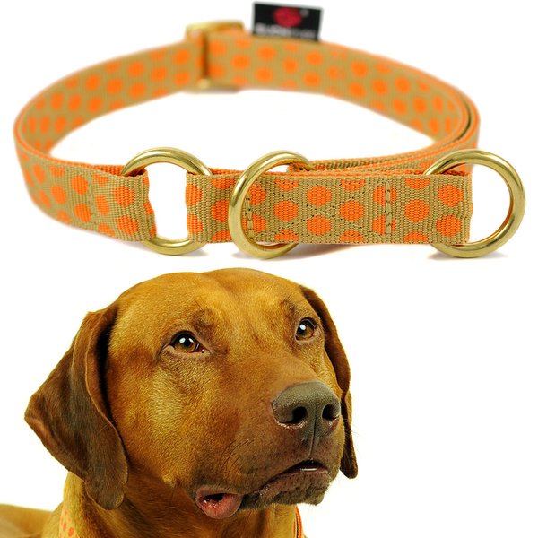 Schlupfhalsband, exklusives Stopp-Hundehalsband, DOTS BEIGE-ORANGE large, Hundehalsbänder Messing
