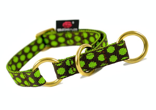 Schlupfhalsband, Hundehalsband mit Zugstopp, DOTS BROWN-LIMEGREEN small, Hundehalsbänder mit Messing