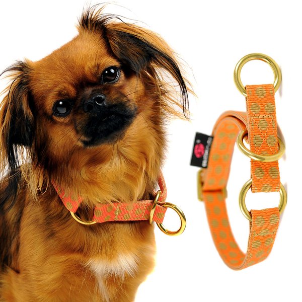 Edles Schlupfhalsband, Zugstopp Halsband kleine Hunde, DOTS ORANGE-BEIGE small, gepunktet, Luxus