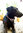 Schlupfhalsband, Stopp-Hundehalsband SAILOR large