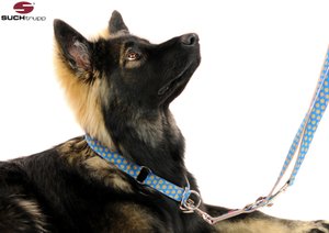schaeferhund-stopp-halsband-hundeleine-zum-umhaengen-design-mit-punkten-suchtrupp
