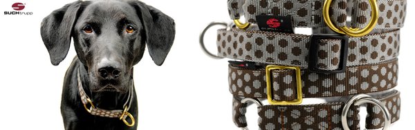 hunde-mit-hundehalsband-suchtrupp-schlupfhalsband-viele-bunte-ausgefallene-designs