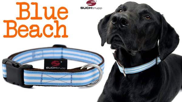 Hundehalsband BLUE BEACH large, Hundehalsbänder