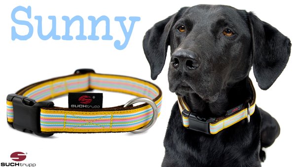Hundehalsband SUNNY medium, Hundehalsbänder