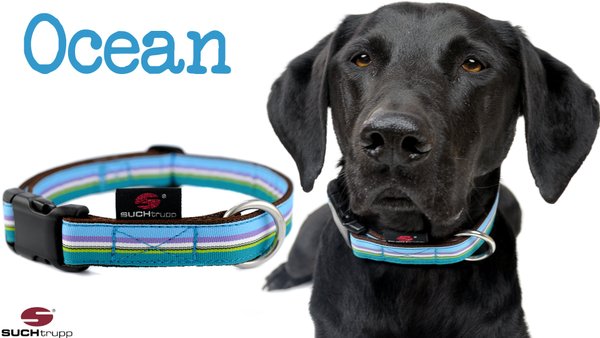 Hundehalsband OCEAN medium, Hundehalsbänder