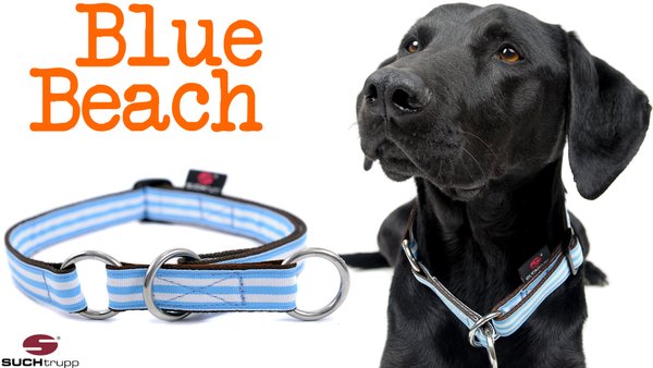 Schlupfhalsband, Stopp-Hundehalsband BLUE BEACH large