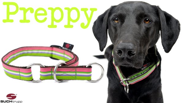 Schlupfhalsband, Stopp-Hundehalsband PREPPY medium