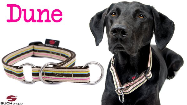 Schlupfhalsband, Stopp-Hundehalsband DUNE medium