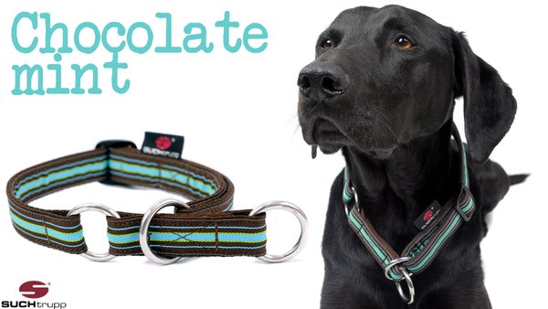 Schlupfhalsband, Stopp-Hundehalsband CHOCOLATE MINT medium