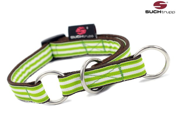 Schlupfhalsband, Stopp-Hundehalsband, Zugstopp-Halsband LIME BEACH small