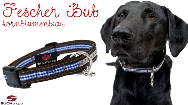 WIESN-Hundehalsband FESCHER BUB large kornblumenblau
