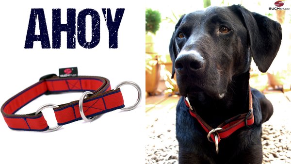 Schlupfhalsband, Stopp-Hundehalsband AHOY medium