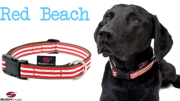Hundehalsband RED BEACH medium, Hundehalsbänder