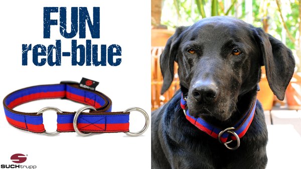 Schlupfhalsband, Stopp-Hundehalsband FUN RED-BLUE medium