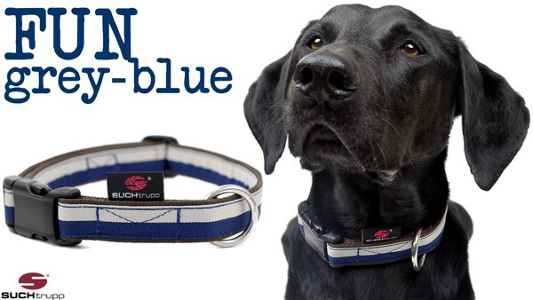 Hundehalsband FUN GREY-BLUE large, Hundehalsbänder