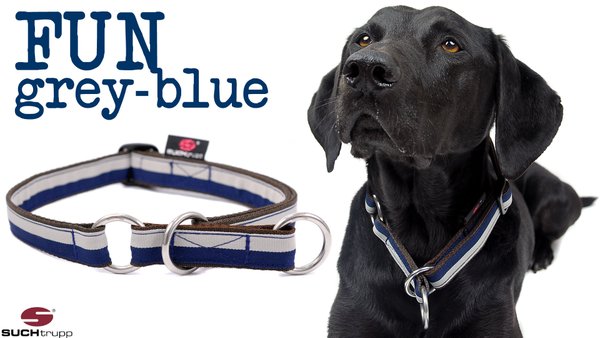 Schlupfhalsband, Stopp-Hundehalsband FUN grey-blue large
