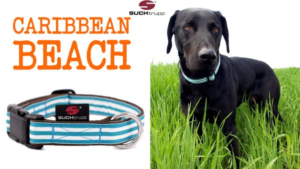 Hundehalsband CARIBBEAN BEACH medium, Hundehalsbänder