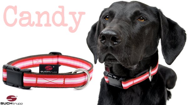 Hundehalsband CANDY medium, Hundehalsbänder
