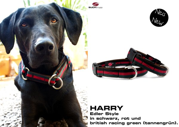 Hundehalsband HARRY medium, Hundehalsbänder