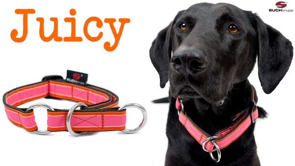 Schlupfhalsband, Stopp-Hundehalsband JUICY medium