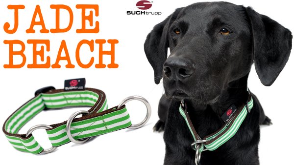 Schlupfhalsband, Stopp-Hundehalsband JADE BEACH medium