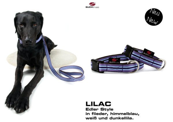 Hundehalsband LILAC medium, Hundehalsbänder