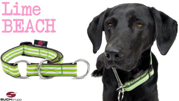 Schlupfhalsband, Stopp-Hundehalsband LIME BEACH medium