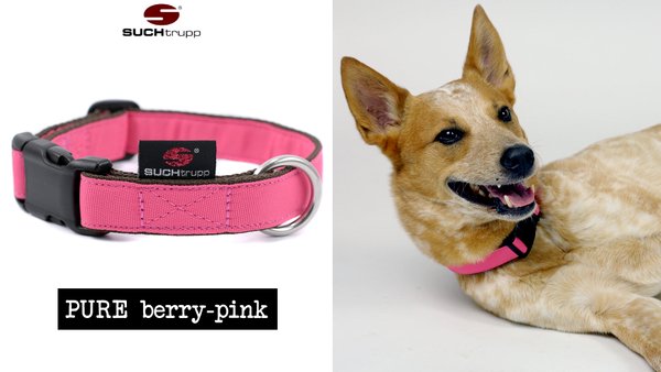 Hundehalsband PURE BERRY-PINK medium, Hundehalsbänder