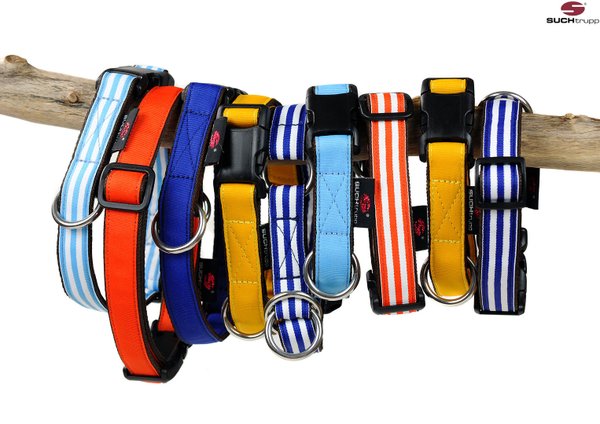 Hundehalsband PURE ORANGE medium, stylische & edle Klick-Hundehalsbänder