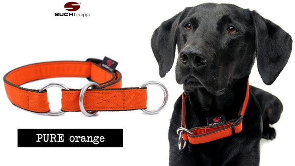 Schlupfhalsband, Stopp-Hundehalsband PURE ORANGE medium