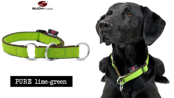 Schlupfhalsband, Stopp-Hundehalsband PURE LIME-GREEN large