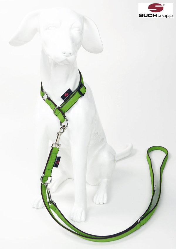 Schlupfhalsband, Stopp-Hundehalsband PURE LIME-GREEN small