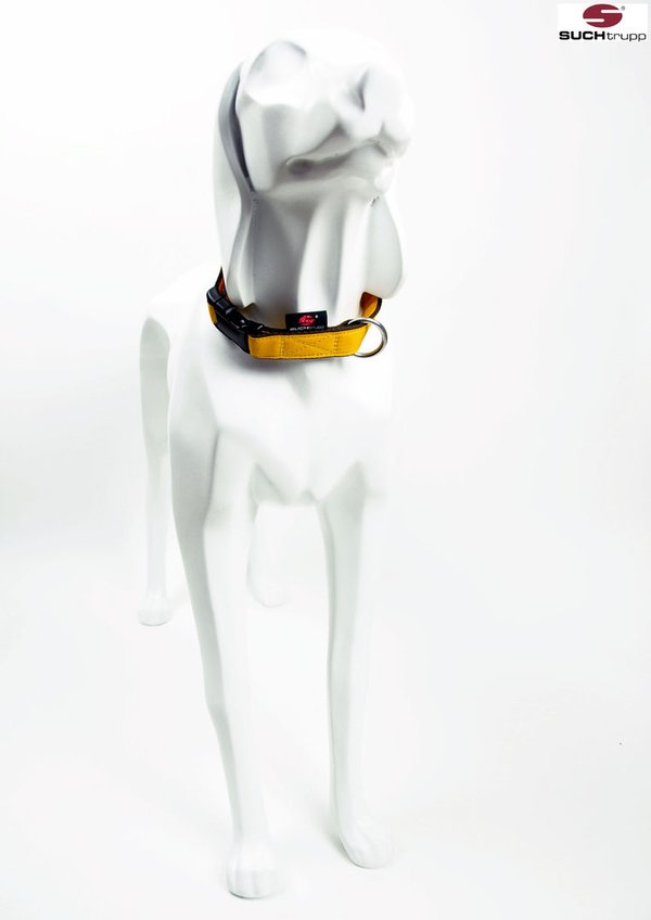 Hundehalsband PURE YELLOW medium, stylische & beste Hundehalsbänder gelb