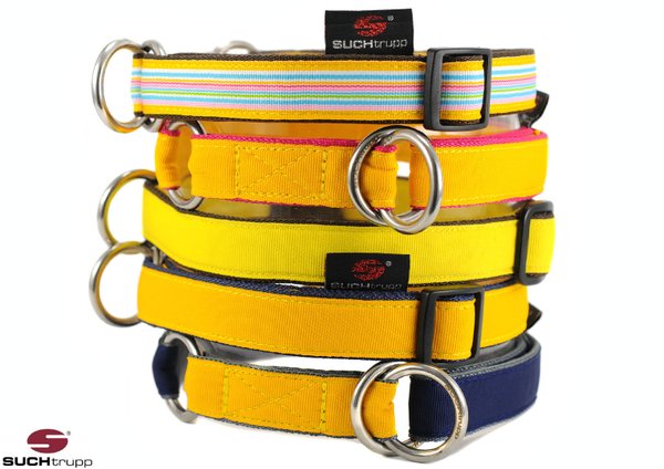 Hundehalsband PURE YELLOW medium, stylische & beste Hundehalsbänder gelb