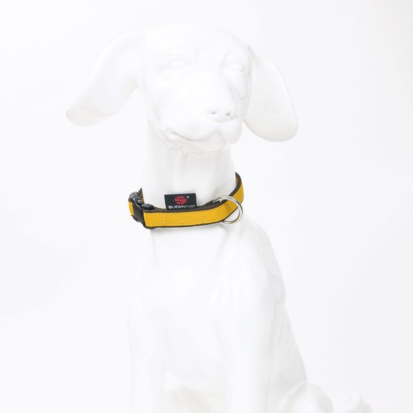 Hundehalsband PURE YELLOW small, schönste Hundehalsbänder kleine Hunde & Welpen, sonnen gelb