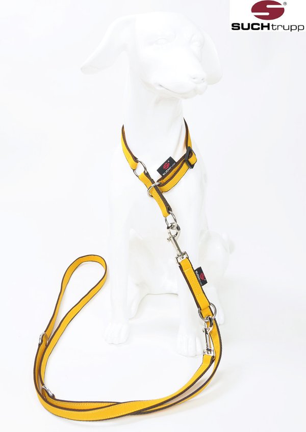 Schlupfhalsband, Stopp-Hundehalsband PURE YELLOW small